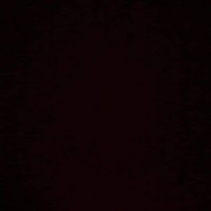 Meet your Posher, Bernadette